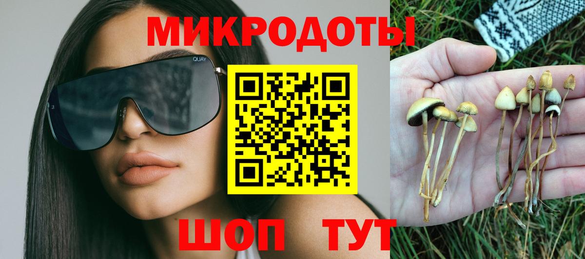 где купить   Галлюциногенные грибы Magic Shrooms  Вход с VPN  Красный Сулин 