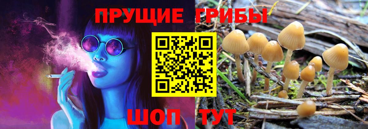 Галлюциногенные грибы мухоморы Красный Сулин